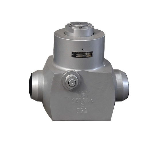 Swing check valve